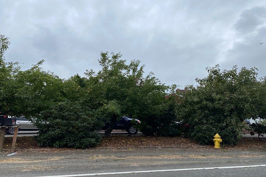 1st image of 43025 196th Ave SE