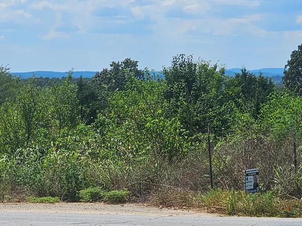 000 State Route 181, Dora, MO 65637