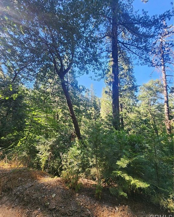 2nd image of 0 Forest Dr