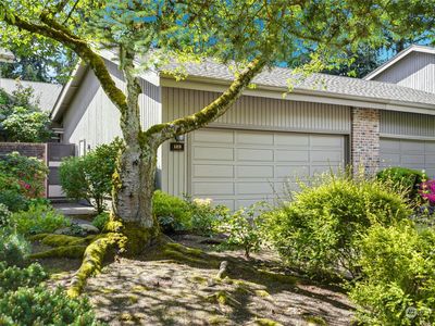 123 141st Place NE, Bellevue, WA, 98007
