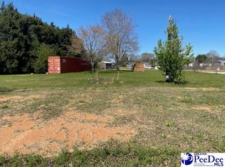 2235 Ashford Dr, Effingham, SC 29541