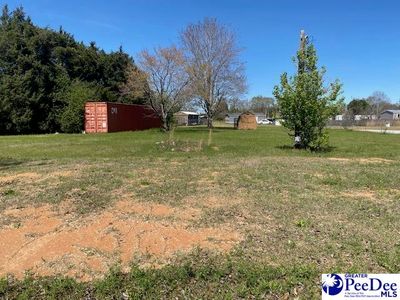 2235 Ashford Dr, Effingham, SC, 29541