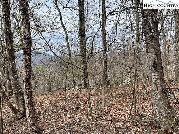 Tbd Lot #3a Cottontail Trail, West Jefferson, Nc 28694 