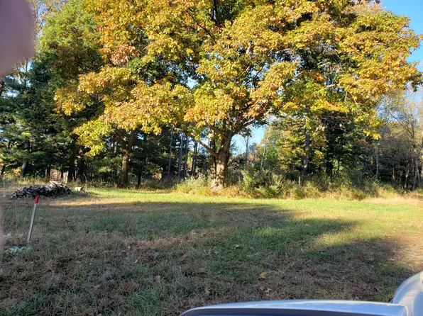 1025 N Ramshorn Rd, Fremont, MI 49412