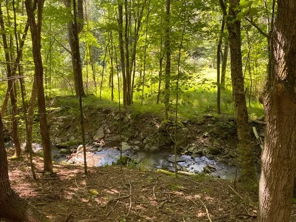 LOT 34.2 State Highway 28, Margaretville, NY 12455