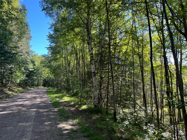 Sunny Point Rd, Harshaw, WI 54529