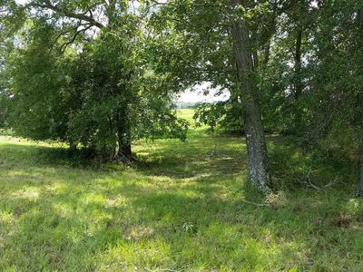 120 Winchester Dr Lot 13, Flora, MS, 39071