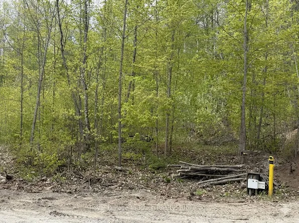 1536 Champlain Rd, Tiny, ON L9M 0C1
