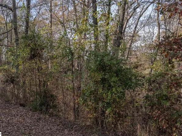 LOT 52 Overlook Dr, Fair Play, SC 29643
