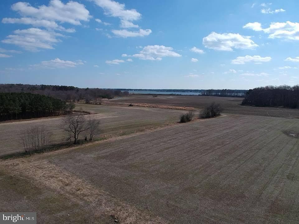 2nd image of 11912-3 Saint Martins Neck Rd