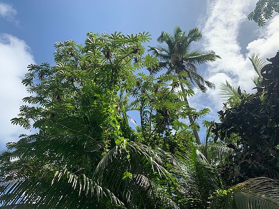 5th image of 15-2759 Opihi St Lot 1708