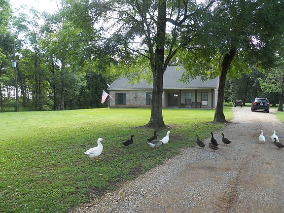 2nd image of 87 Bayou Oaks Dr