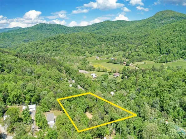 1127 Bee Tree Rd, Swannanoa, NC 28778