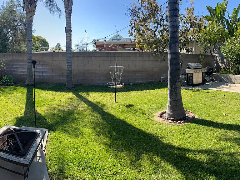 back yard covered patio with spa fruit trees