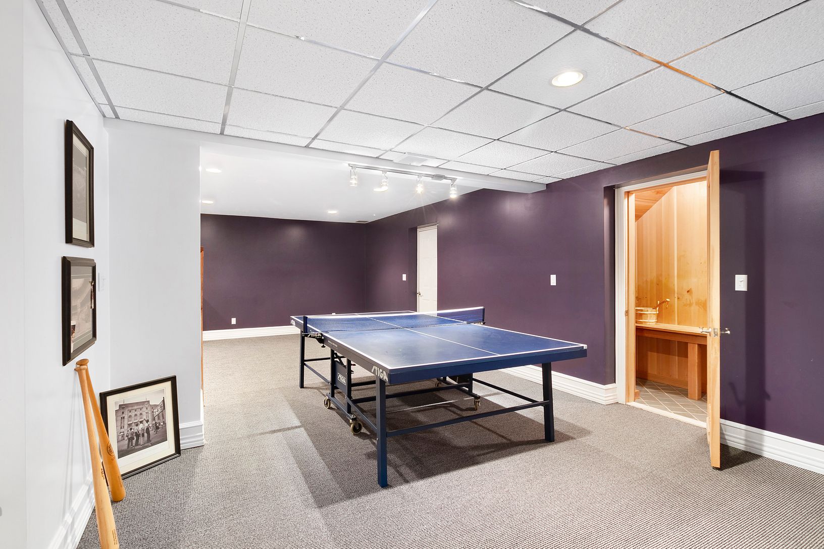  Game Area and Sauna in Lower Level