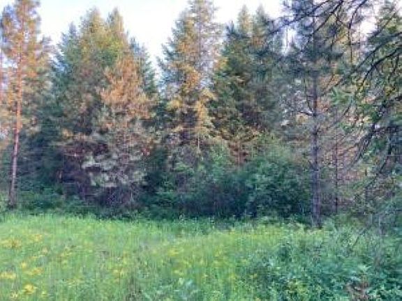 2nd image of 2 Kifer Spur Rd