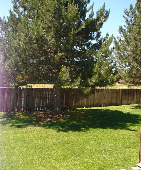 4307 Hunting Meadows Cir — Photo 12