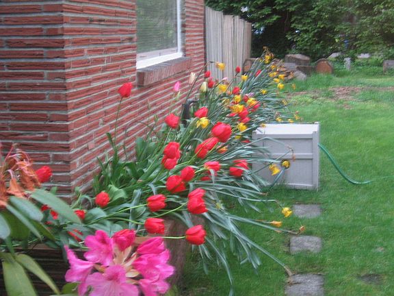 Built in brick flowerbeds