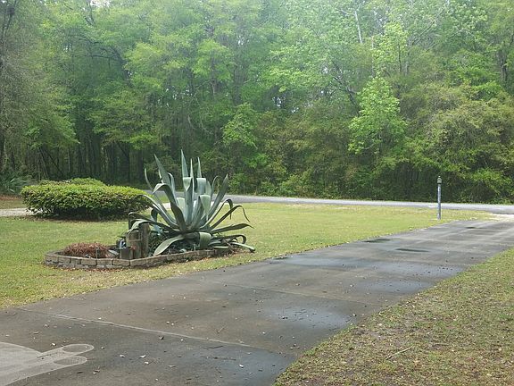 Natural Setting and Trees
