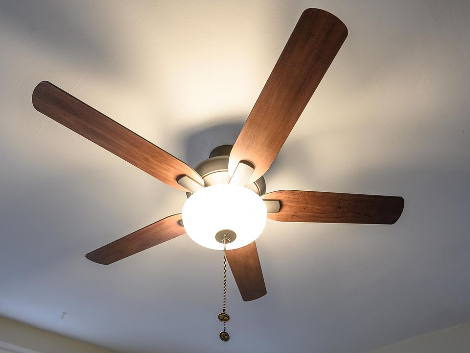 New paddle fan in living room/bedroom