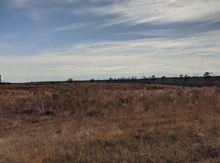 0 Hendricks Mill Rd, Ebony, VA 23845