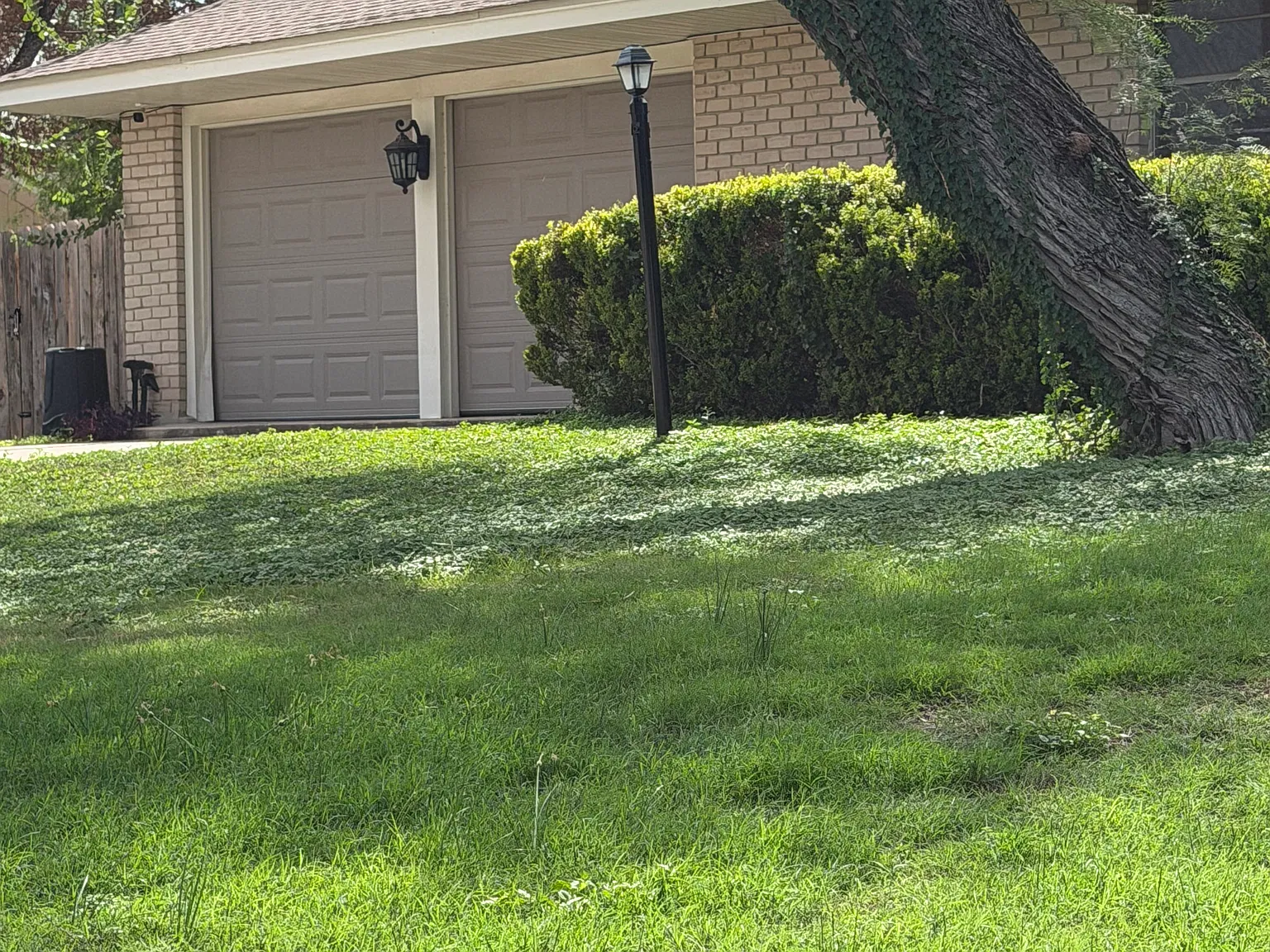 3 bed, 1791 sqft, $2,100 — Photo 3