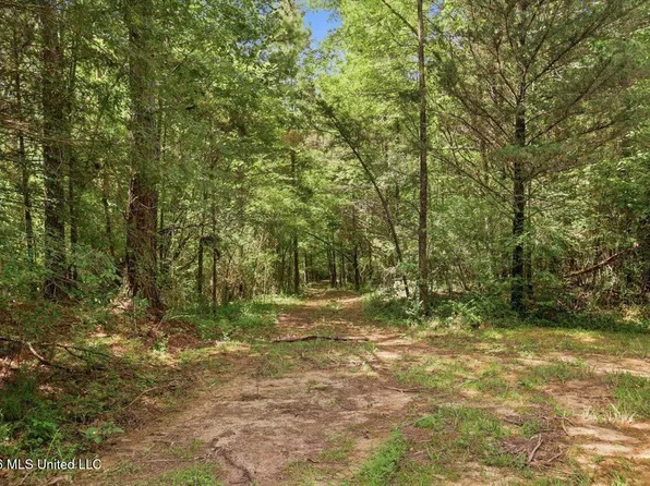 77 Sulphur Springs Rd, Canton, MS 39046