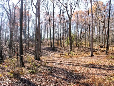 Robert Beaty Rd, Jamestown, TN, 38556