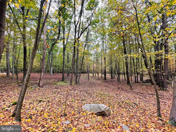 521 Haystack Dr, Zion Grove, PA 17985