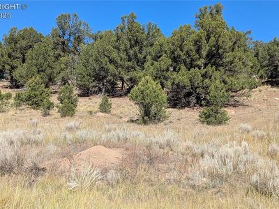 319 Sioux Cir, Canon City, CO, 81212