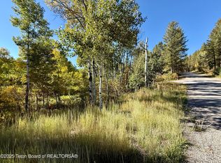 51 Vista Cir, Thayne, WY 83127