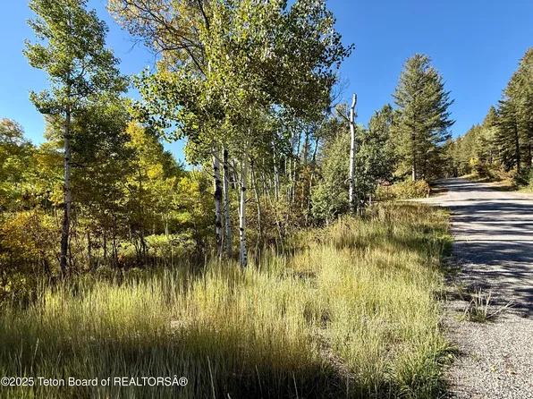 51 Vista Cir, Thayne, WY 83127