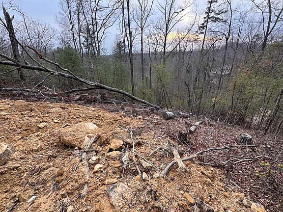 2nd image of 181 High Ridge Rd