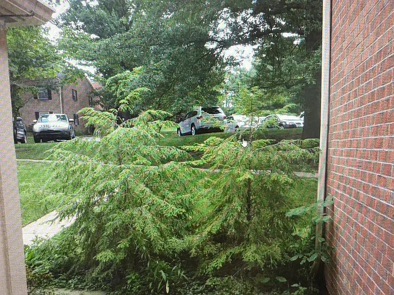 17 Old Forge Xing — Photo 13