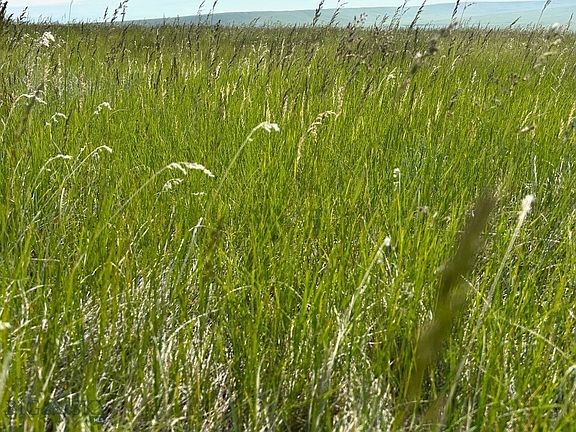 5th image of Ubet Rd