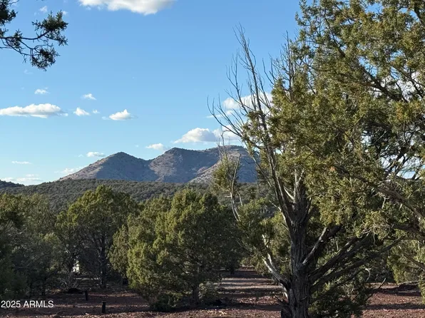 17375 Beale Wagon Road #458 and 457, Williams, AZ 86046