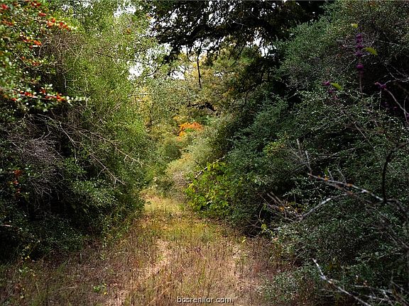 5th image of County Road 316