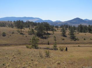 Running Bear Rd, Hartsel, CO 80449