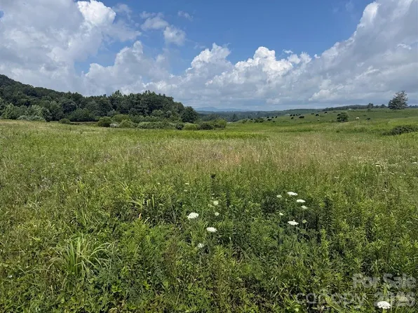 Blue Ridge Pkwy, Ennice, NC 28623