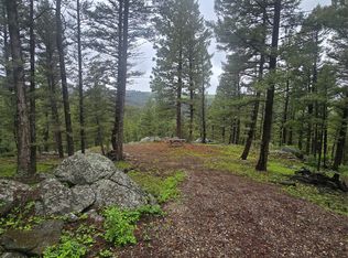 60 Snowberry Ln, Drummond, MT 59832
