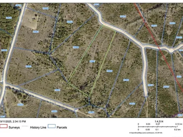 TRACT 88 Robertson Rd, Lovelady, TX 75851