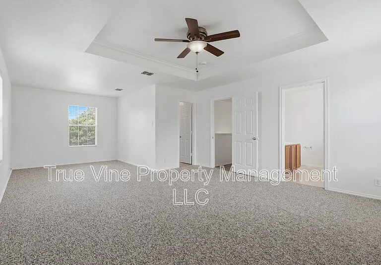 136 Texas Mulberry — Photo 14