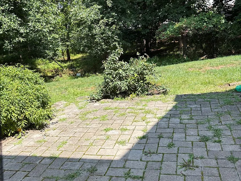 235 Hidden Woods Ct — Photo 10