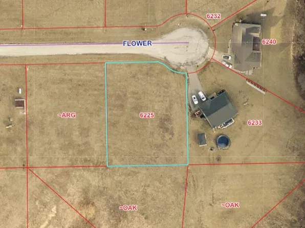 6225 E Flower Ct, Argenta, IL 62501