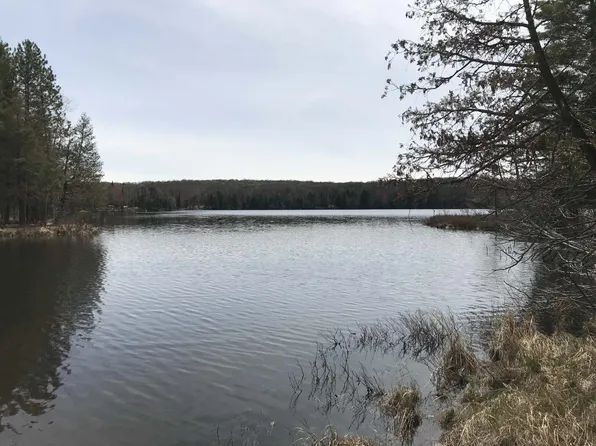 23255 Black Bear Rd, Watersmeet, MI 49969