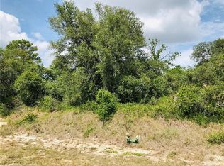 2176 N Archer Rd, Avon Park, FL 33825