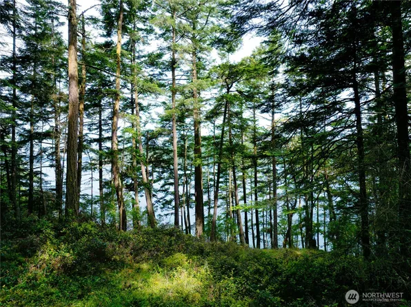 0 Lot 7 Pass View Road, Decatur Island, WA 98221
