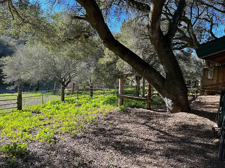 Hambey Ln — Photo 18
