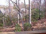 View of Wooded Backyard