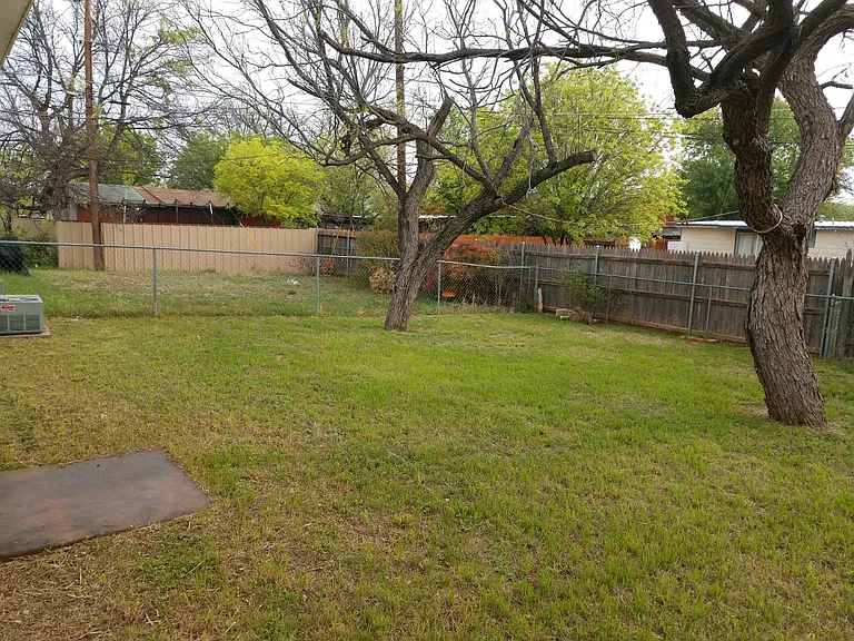 Backyard